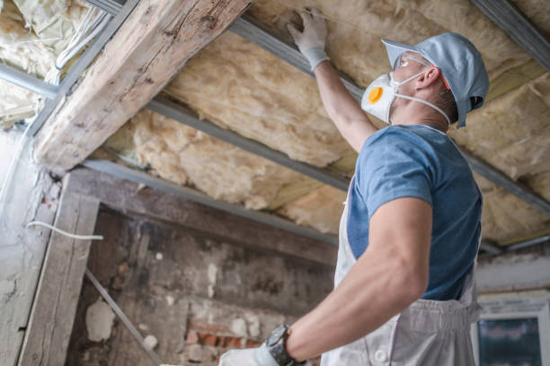 Best Insulation Materials and Products in Delhi, LA
