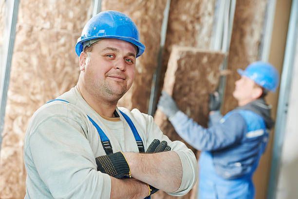 Best Insulation Maintenance and Repair in Delhi, LA