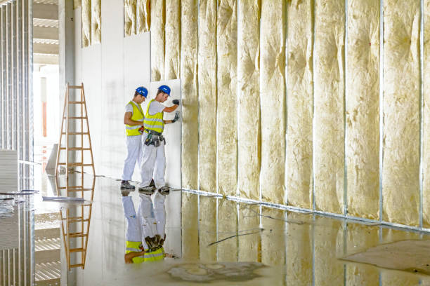 Best Insulation Installation Services in Delhi, LA